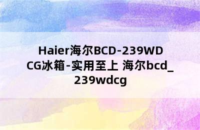 Haier海尔BCD-239WDCG冰箱-实用至上 海尔bcd_239wdcg